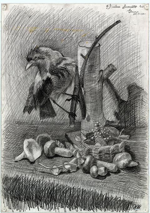 Vogel. Alexander Babel, 4. Klasse, 2000/2001, Bleistift, 62 × 43 cm. Entstanden im Zeichenunterricht der Kinderkunstschule in Nowomoskowsk (Russland).