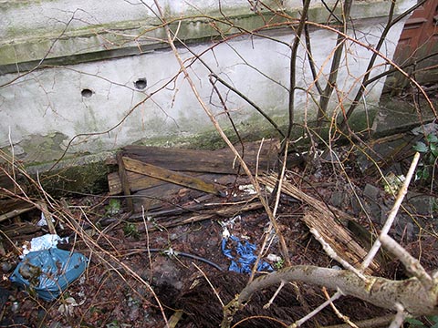 С северной стороны дома под грудой мусора, земли, под корнями уже выросших за 15 лет деревьев была обнаружена яма.
