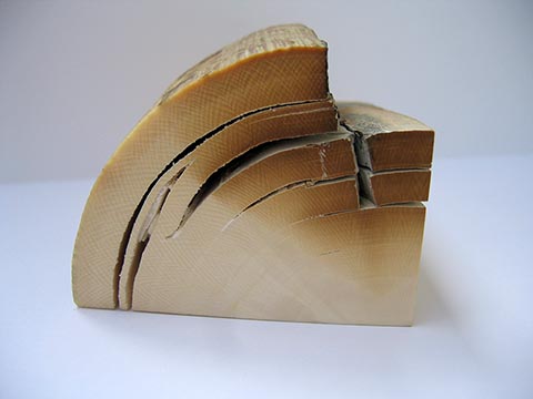 Anschnitt eines Mammutstoßzahns (Mammutelfenbein). Typische netzartige Struktur. Winkel der Linienstruktur 80–90°.