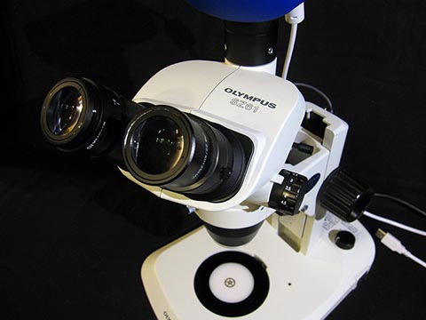 Stereomikroskop Olympus SZ 61 TR mit 10-fach-Okularen. Baujahr 2005.
